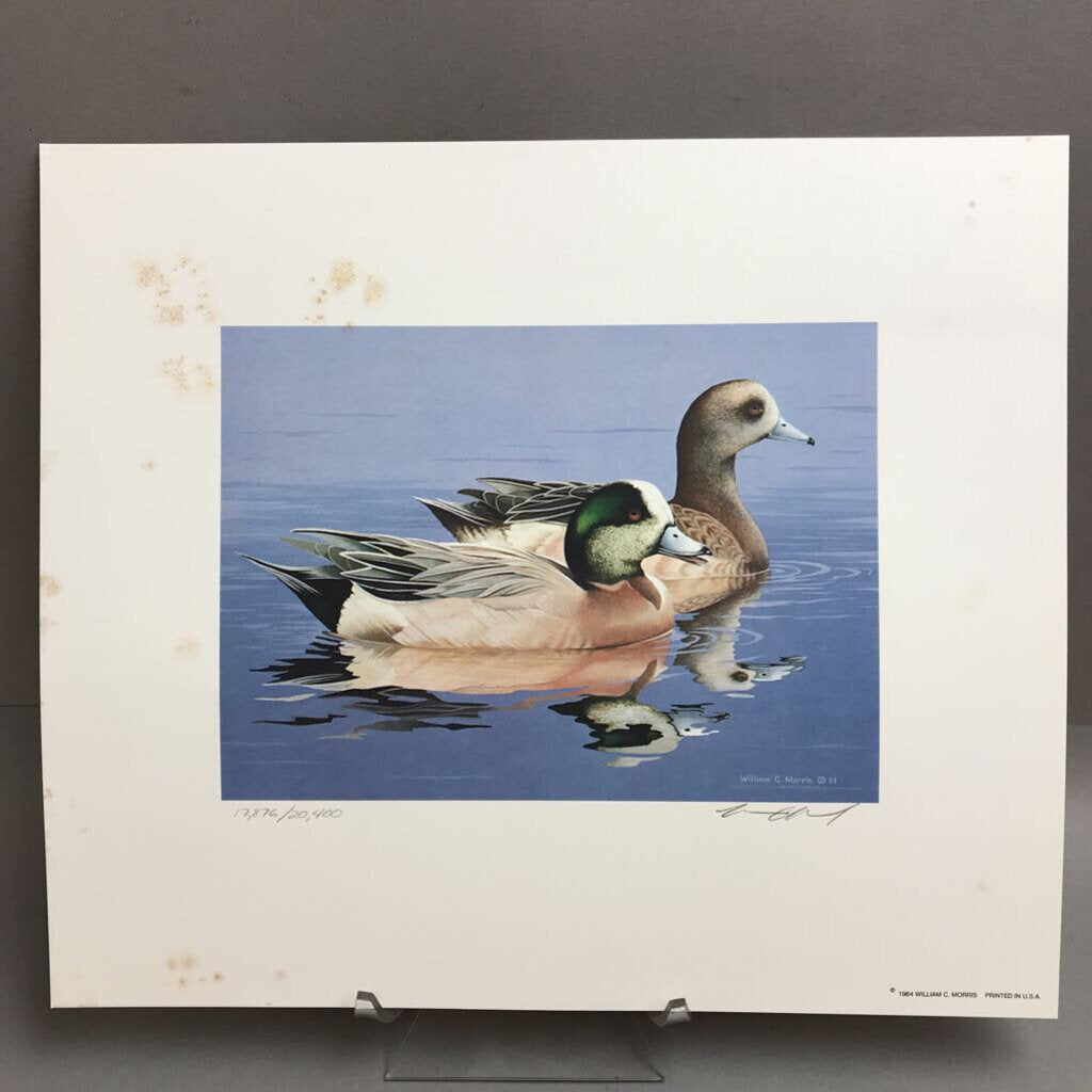 1984 Federal Migratory Waterfowl Stamp & Print Signed & Numbered (12x14)