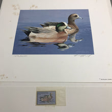 Load image into Gallery viewer, 1984 Federal Migratory Waterfowl Stamp &amp; Print Signed &amp; Numbered (12x14)
