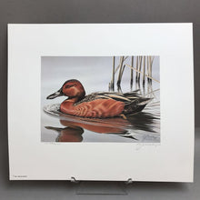 Load image into Gallery viewer, Signed 1985-86 Federal Duck Stamp Print With Stamp (12x14)
