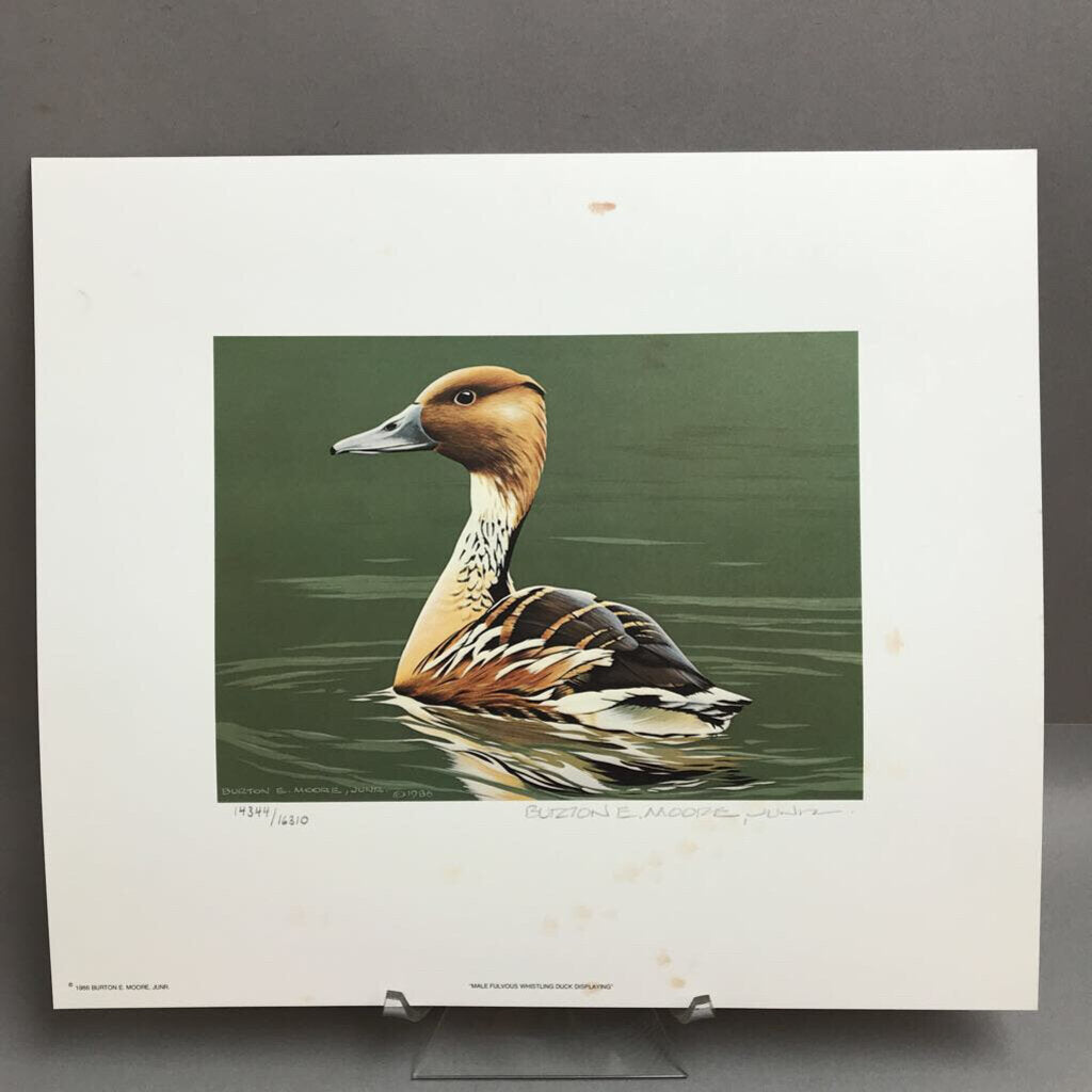 1986 Federal Duck Stamp Print Burton E Moore Jr Artist Signed Stamp (12x14)