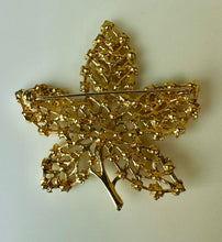 Load image into Gallery viewer, RJ Graziano Green &amp; Brown Rhinestone Goldtone Maple Leaf Brooch Pin (2&quot;)
