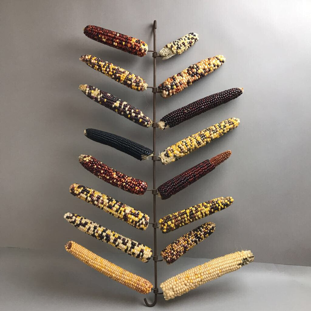 Antique Iron Metal Corn Dryer with 16 Indian Corn Ears(29