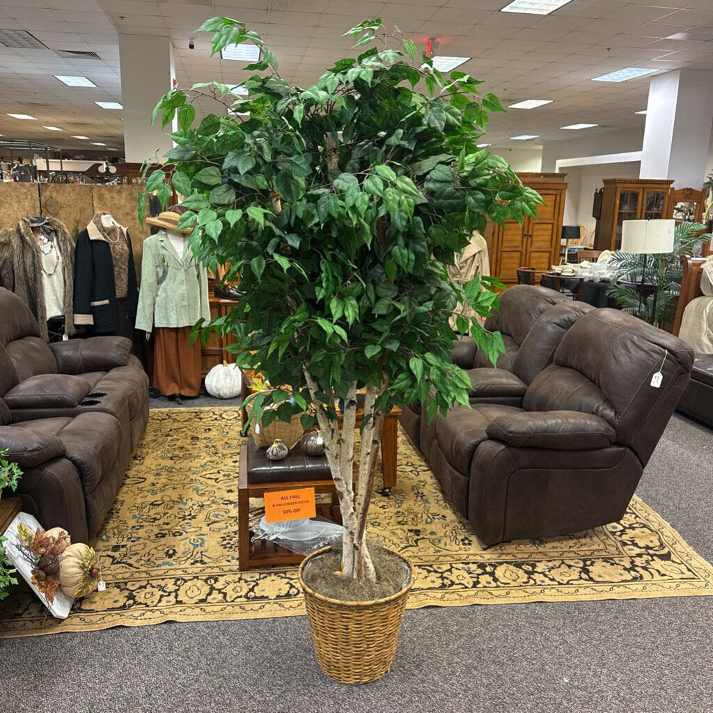 Faux Fig Tree (84