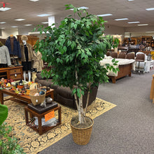 Load image into Gallery viewer, Faux Fig Tree (84&quot; Tall)
