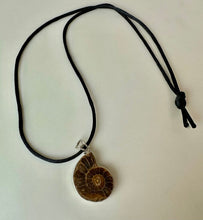 Load image into Gallery viewer, Sterling Ammonite Fossilized Shell 2" Pendant on Black Satin Cord Necklace
