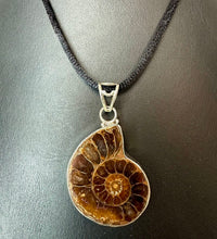 Load image into Gallery viewer, Sterling Ammonite Fossilized Shell 2" Pendant on Black Satin Cord Necklace
