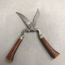Load image into Gallery viewer, Vintage Anton Wingen Jr. Solingen Germany Antler Handle Game Shears (10")
