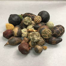 Load image into Gallery viewer, Assortment of African Hand Carved Gourds/Decorative Balls
