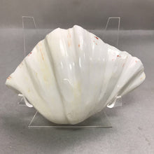 Load image into Gallery viewer, Strawberry Bear Claw Half Clam Shell (7x4)
