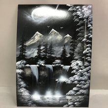 Load image into Gallery viewer, Black &amp; White Hand Painted Nature Scene by Joe (20x14)
