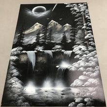 Load image into Gallery viewer, Black &amp; White Hand Painted Nature Scene by Joe (20x14)
