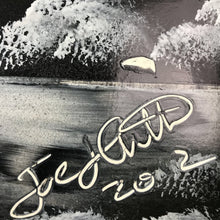 Load image into Gallery viewer, Black &amp; White Hand Painted Nature Scene by Joe (20x14)
