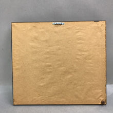 Load image into Gallery viewer, Framed Cross Stitch Birds &amp; Holly (11x13)
