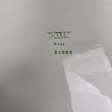 Load image into Gallery viewer, F.B.C Hand Painted in Italy Turkey Platter (18x24)
