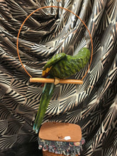 Load image into Gallery viewer, Paper Mache Parrot On Hanging Perch 20" Long Green Yellow Vintage Sculpture
