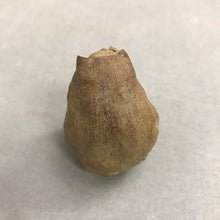 Load image into Gallery viewer, Pottery Stoneware Carved Face Wrapped in Blanket (2.5)

