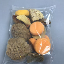 Load image into Gallery viewer, Lot of 12 Natural Sea Sponge Assortment
