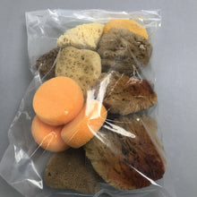Load image into Gallery viewer, Lot of 12 Natural Sea Sponge Assortment
