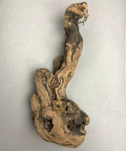 Load image into Gallery viewer, Decorative Natural Driftwood (~16")
