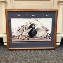 Load image into Gallery viewer, Framed Wildlife Still Print Signed Campanelli (24x30)
