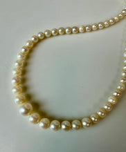 Load image into Gallery viewer, 10K Gold Clasp 17.5" Graduated Pearl Necklace
