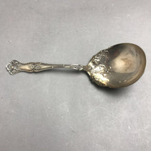 Load image into Gallery viewer, Rogers' La Vigna Large Silverplate Spoon (~9")
