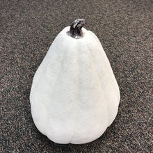 Load image into Gallery viewer, White Large Fall Pumpkin Decor (20")(2 Available)

