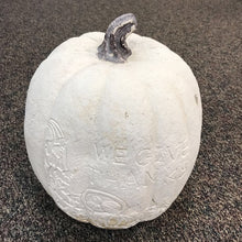 Load image into Gallery viewer, White Large Fall Pumpkin Decor (16")
