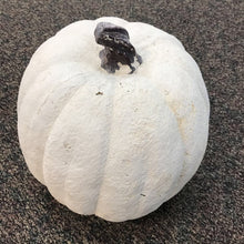 Load image into Gallery viewer, White Large Fall Pumpkin Decor (16")
