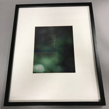 Load image into Gallery viewer, Black Framed Green Plant Picture 17x21
