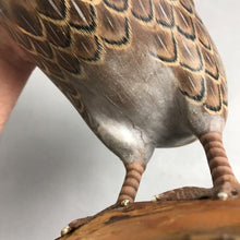 Load image into Gallery viewer, Wooden Deal Duck Decoy (As-Is) (~9.5x11x5.75)
