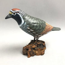 Load image into Gallery viewer, Wooden Quail Bird Decoy (~6x7x3)
