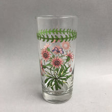 Load image into Gallery viewer, Portmeirion Botanic Garden 16oz Glass Tumbler - Treasure Flower (6.25")
