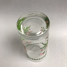 Load image into Gallery viewer, Portmeirion Botanic Garden 16oz Glass Tumbler - Treasure Flower (6.25")

