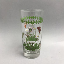 Load image into Gallery viewer, Portmeirion Botanic Garden 16oz Glass Tumbler - Daisy (6.25")
