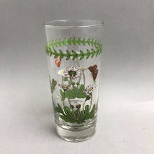 Load image into Gallery viewer, Portmeirion Botanic Garden 16oz Glass Tumbler - Daisy (6.25")
