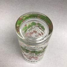 Load image into Gallery viewer, Portmeirion Botanic Garden 16oz Glass Tumbler - Ivy Leaved Cyclamen (6.25")
