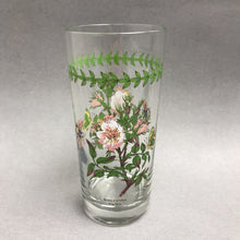 Load image into Gallery viewer, Portmeirion Botanic Garden 16oz Glass Tumbler - Dog Rose (6.25")
