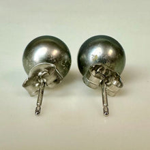 Load image into Gallery viewer, Gray Freshwater Pearl Stud Earrings
