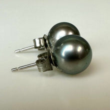 Load image into Gallery viewer, Gray Freshwater Pearl Stud Earrings
