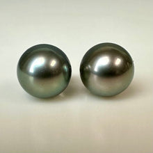 Load image into Gallery viewer, Gray Freshwater Pearl Stud Earrings

