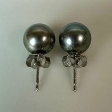 Load image into Gallery viewer, Gray Freshwater Pearl Stud Earrings
