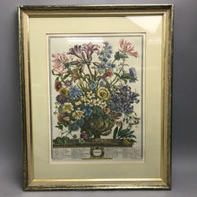 Load image into Gallery viewer, Robert Furber's Twelve Months Of Flowers "October" Print
