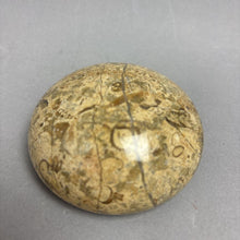 Load image into Gallery viewer, Vintage Polished Fossil Stone Paperweight (3")
