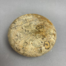 Load image into Gallery viewer, Vintage Polished Fossil Stone Paperweight (3")
