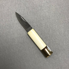 Load image into Gallery viewer, Parker / Eagle Bone &amp; Surgical Steel Bulet Knife (4")
