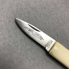 Load image into Gallery viewer, Parker / Eagle Bone &amp; Surgical Steel Bulet Knife (4")

