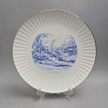Load image into Gallery viewer, Bailey Falls, Tonica, Illinois Plate (~10)
