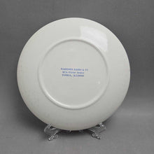 Load image into Gallery viewer, Bailey Falls, Tonica, Illinois Plate (~10)
