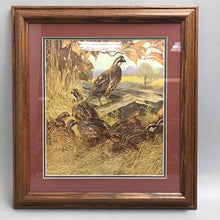 Load image into Gallery viewer, Framed Lynn Bogue Print - Bobwhite Quail (16x14.5)

